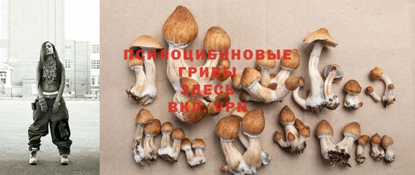 бошки Куйбышев