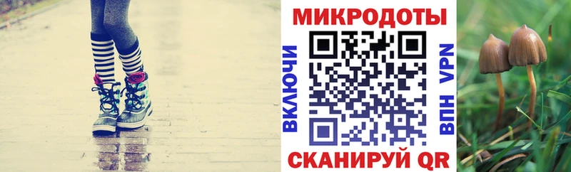 Псилоцибиновые грибы MAGIC MUSHROOMS  Клинцы 